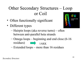 44
Other Secondary Structures – Loop
or Coil
• Often functionally significant
• Different types
– Hairpin loops (aka reverse turns) – often
between anti-parallel beta strands
– Omega loops – beginning and end close (6-16
residues)
– Extended loops – more than 16 residues
Secondary Structure
1AKK
 