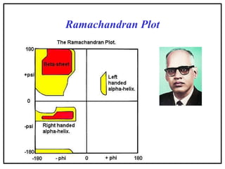 Ramachandran Plot
 