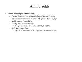 Amino acids
• Polar, uncharged amino acids
– Contain R-groups that can form hydrogen bonds with water
– Includes amino acids with alcohols in R-groups (Ser, Thr, Tyr)
– Amide groups: Asn and Gln
– Usually more soluble in water
• Exception is Tyr (most insoluble at 0.453 g/L at 25 °C)
– Sulfhydryl group: Cys
• Cys can form a disulfide bond (2 cysteines can make one cystine)
 