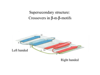 Supersecondary structure:
Crossovers in β-α-β-motifs
Right handed
Left handed
 