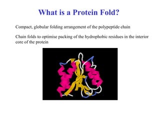 What is a Protein Fold?
Compact, globular folding arrangement of the polypeptide chain
Chain folds to optimise packing of the hydrophobic residues in the interior
core of the protein
 