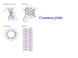Common folds
 