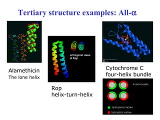 Tertiary structure examples: All-α
Alamethicin
The lone helix
Rop
helix-turn-helix
Cytochrome C
four-helix bundle
 