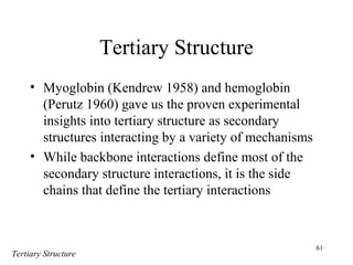 61
Tertiary Structure
• Myoglobin (Kendrew 1958) and hemoglobin
(Perutz 1960) gave us the proven experimental
insights into tertiary structure as secondary
structures interacting by a variety of mechanisms
• While backbone interactions define most of the
secondary structure interactions, it is the side
chains that define the tertiary interactions
Tertiary Structure
 