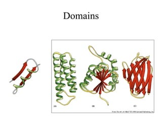 Domains
 