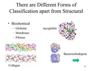67
There are Different Forms of
Classification apart from Structural
• Biochemical
– Globular
– Membrane
– Fibrous
myoglobin
Collagen
Bacteriorhodopsin
 