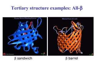 Tertiary structure examples: All-β
β sandwich β barrel
 