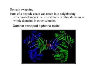 Domain swapping:
Parts of a peptide chain can reach into neighboring
structural elements: helices/strands in other domains or
whole domains in other subunits.
Domain swapped diphteria toxin:
 