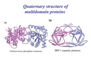 Quaternary structure of
multidomain proteins
 