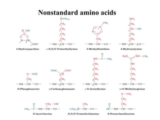 Nonstandard amino acids
 