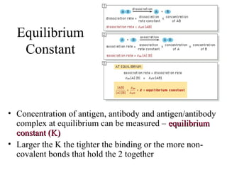 Equilibrium
Constant
• Concentration of antigen, antibody and antigen/antibody
complex at equilibrium can be measured – equilibriumequilibrium
constant (K)constant (K)
• Larger the K the tighter the binding or the more non-
covalent bonds that hold the 2 together
 