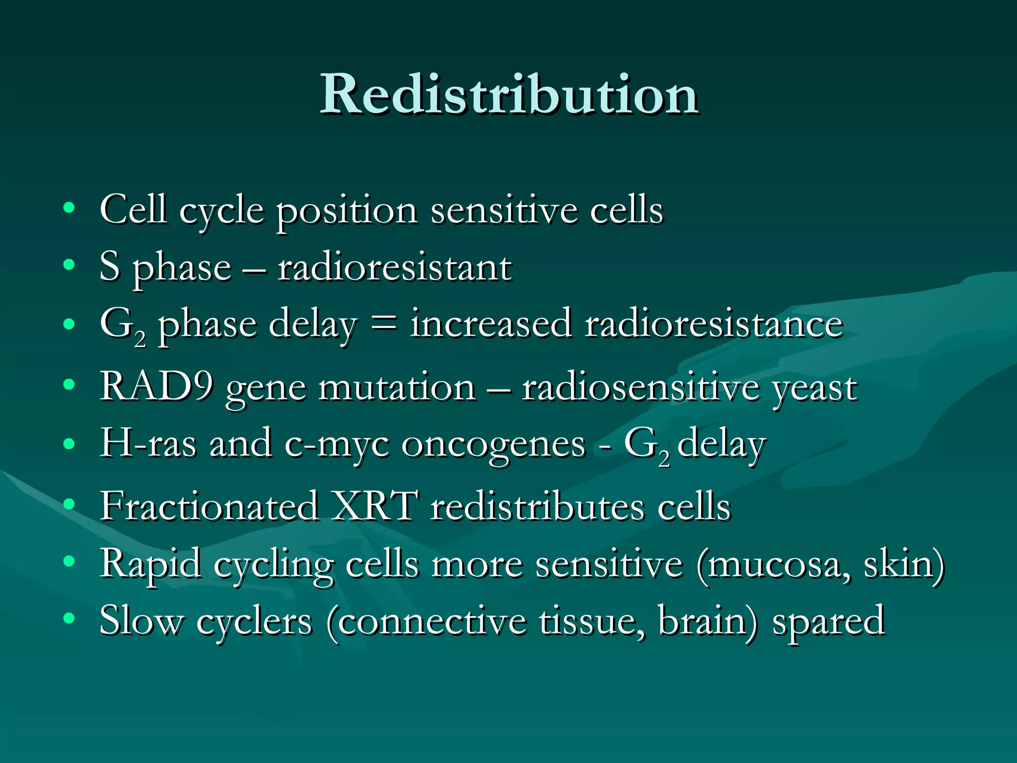 Redistribution Cell cycle position sensitive cells S phase – radioresistant G 2  phase delay = increased radioresistance RAD9 gene mutation – radiosensitive yeast H-ras and c-myc oncogenes - G 2  delay Fractionated XRT redistributes cells Rapid cycling cells more sensitive (mucosa, skin) Slow cyclers (connective tissue, brain) spared 