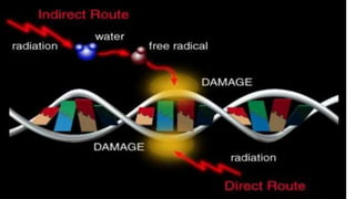 Principles of radiotherapy | PPTX