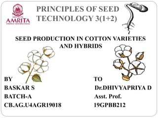 PRINCIPLES OF SEED
TECHNOLOGY 3(1+2)
SEED PRODUCTION IN COTTON VARIETIES
AND HYBRIDS
BY TO
BASKAR S Dr.DHIVYAPRIYA D
BATCH-A Asst. Prof.
CB.AG.U4AGR19018 19GPBB212
 