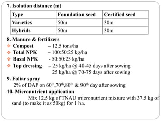 Cotton seed production in hybrids & varieties | PPTX