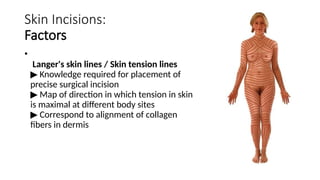 Skin Paddle Incision PRINCIPLES OF SKIN INCISION PRINCIPLES OF SKIN INCISION | PPTX