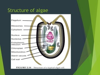 Principles of Sterilization and Disinfection.ppt