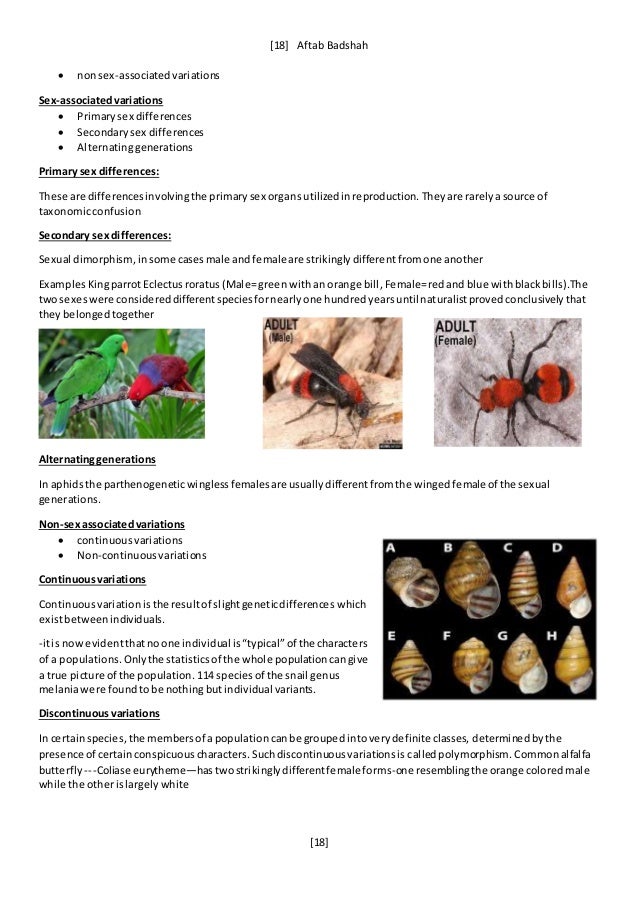 Principles of systematic zoology
