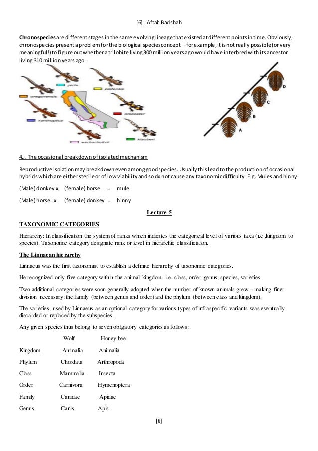 Principles of systematic zoology