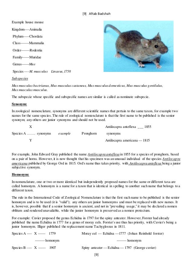 Principles of systematic zoology