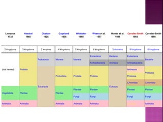 Linnaeus
1735
Haeckel
1866
Chatton
1925
Copeland
1938
Whittaker
1969
Woese et al.
1977
Woese et al.
1990
Cavalier-Smith
1993]
Cavalier-Smith
1998]
2 kingdoms 3 kingdoms 2 empires 4 kingdoms 5 kingdoms 6 kingdoms 3 domains 8 kingdoms 6 kingdoms
(not treated) Protista
Prokaryota Monera Monera
Eubacteria Bacteria Eubacteria
Bacteria
Archaebacteria Archaea Archaebacteria
Eukaryota
Protoctista Protista Protista
Eukarya
Archezoa
Protozoa
Protozoa
Chromista Chromista
Vegetabilia Plantae Plantae
Plantae Plantae Plantae Plantae
Fungi Fungi Fungi Fungi
Animalia Animalia Animalia Animalia Animalia Animalia Animalia
 