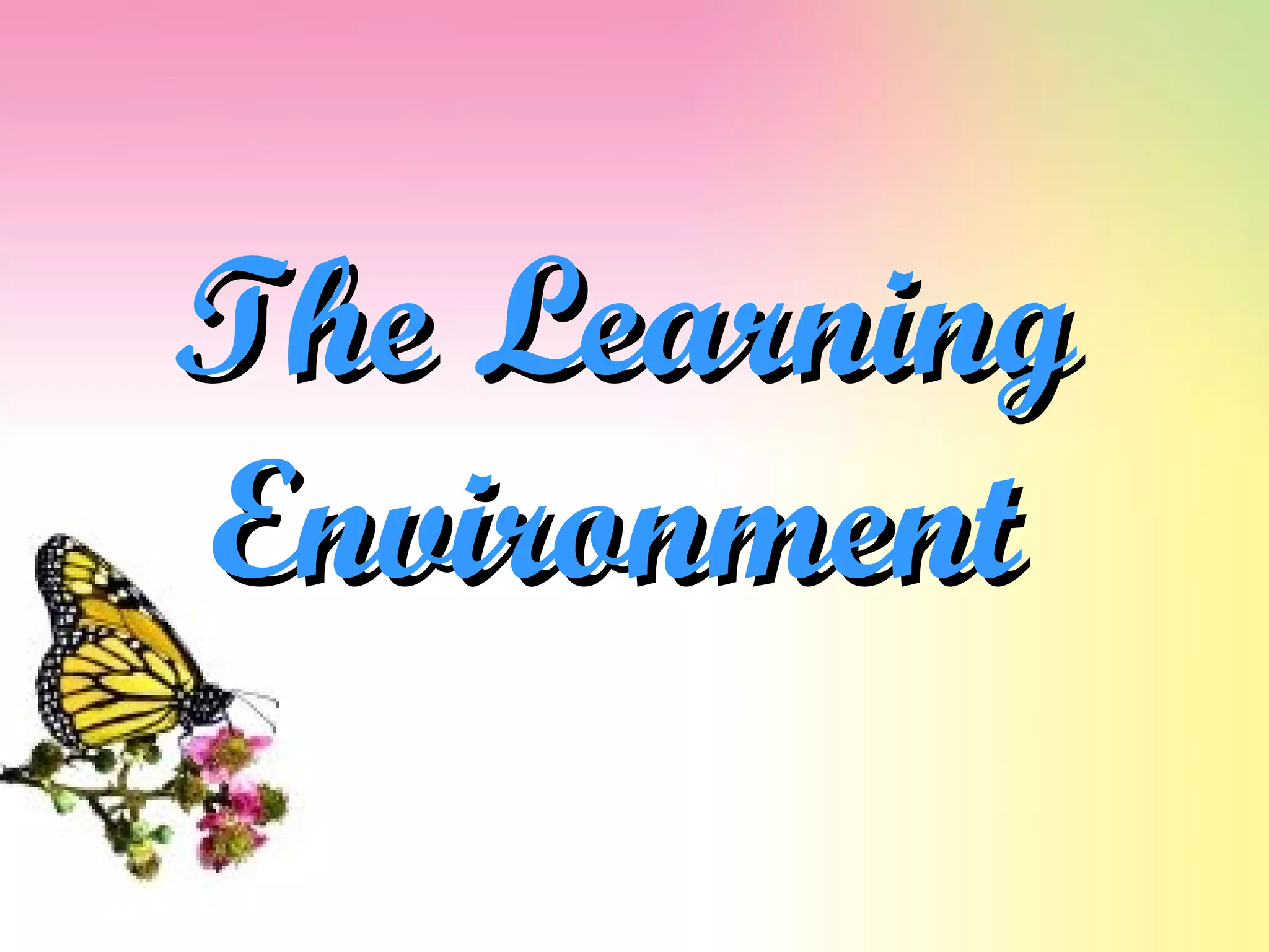 The LearningThe Learning
EnvironmentEnvironment
 