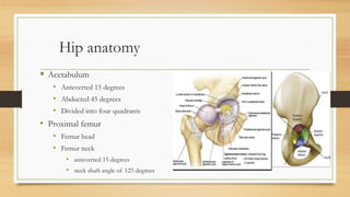 Hip anatomy
 Acetabulum
• Anteverted 15 degrees
• Abducted 45 degrees
• Divided into four quadrants
• Proximal femur
• Femur head
• Femur neck
• anteverted 15 degrees
• neck shaft angle of 125 degrees
 