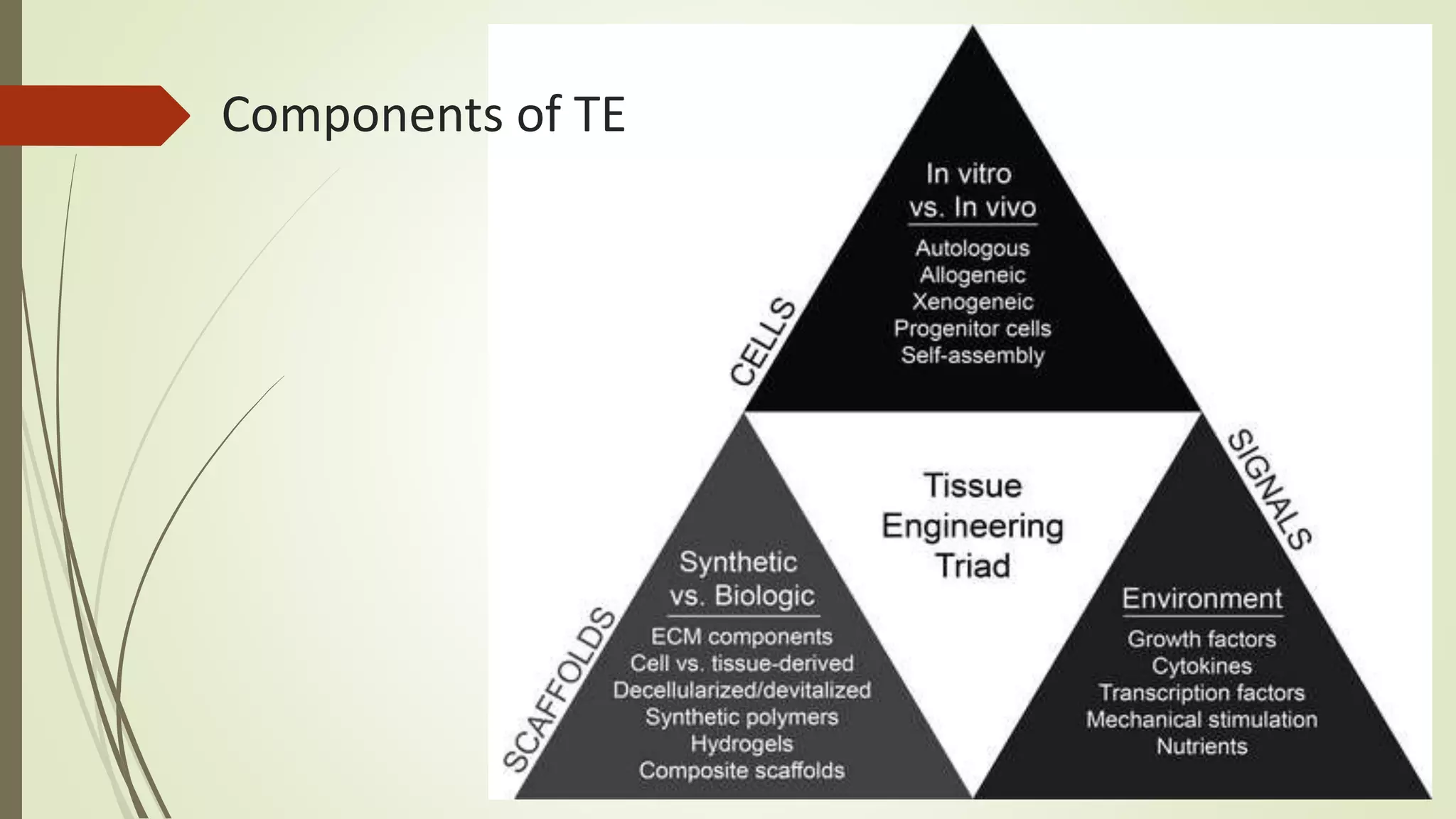 Principles of tissue engineering | PPTX