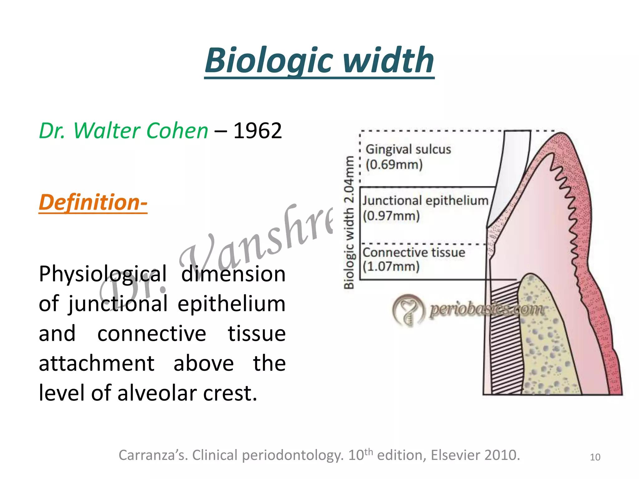 Biologic width
Dr. Walter Cohen – 1962
Definition-
Physiological dimension
of junctional epithelium
and connective tissue
attachment above the
level of alveolar crest.
Carranza’s. Clinical periodontology. 10th edition, Elsevier 2010. 10
 