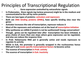 Principles of Transcriptional Regulation
• Gene expression controlled by extracellular signals
• In Prokaryotes, these signals (eg lactose presence) might be in the medium and
communicated to the cell by some proteins
• There are two types of proteins: activators and repressors
• Both are DNA binding proteins (DNBs), have specific binding sites near the
genes
• Activator increases the rate of transcription, repressor reduces it
• Most of the repressors and activators act at the level of transcription initiation
• Why synthesize an mRNA if protein is not be synthesized! Energy conservation!
• Though, genes can be regulated later after transcription has been initiated, it
gives choice of more than one steps where gene expression can be regulated,
and also can reduce the response time
• In Prok: Holoenzyme RNA pol is generally active and needs repressors to
regulate its activity
• While in Euk, the promoter is generally wrapped in the nucleosomes hence
RNA pol II and needs specific transcriptional factors to become active
• The essence of transcription in Prok: activity
• The essence of transcription in Euk: inactivity
 