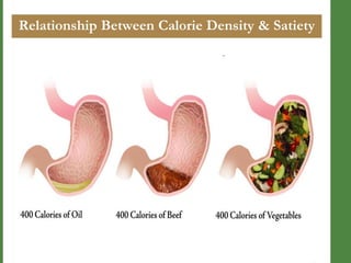 Relationship Between Calorie Density & Satiety

 