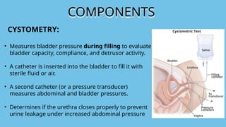Pressure Testing Bladder Principles of Urodynamics in urology.pptx