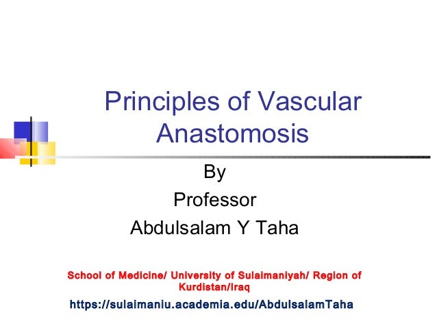 vascular anastomosis