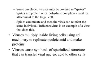 Principles of Virology.ppt