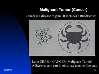 Principles of _Oncology in medicinee.ppt