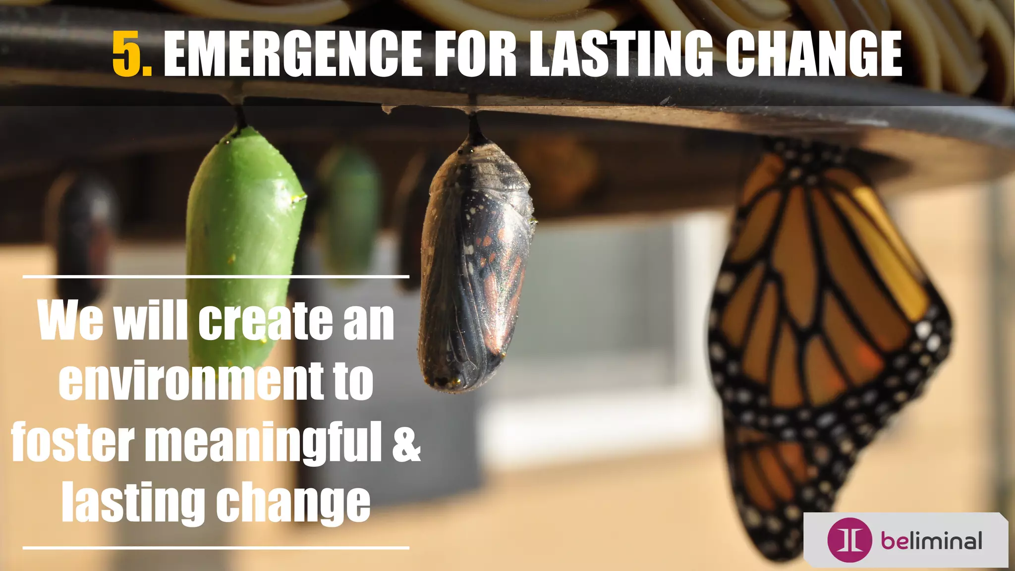 5. EMERGENCE FOR LASTING CHANGE
We will create an
environment to
foster meaningful &
lasting change
 
