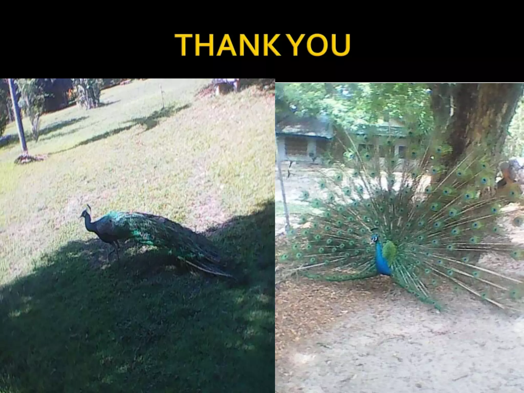 Principles teaching 1: The Nature of Learners