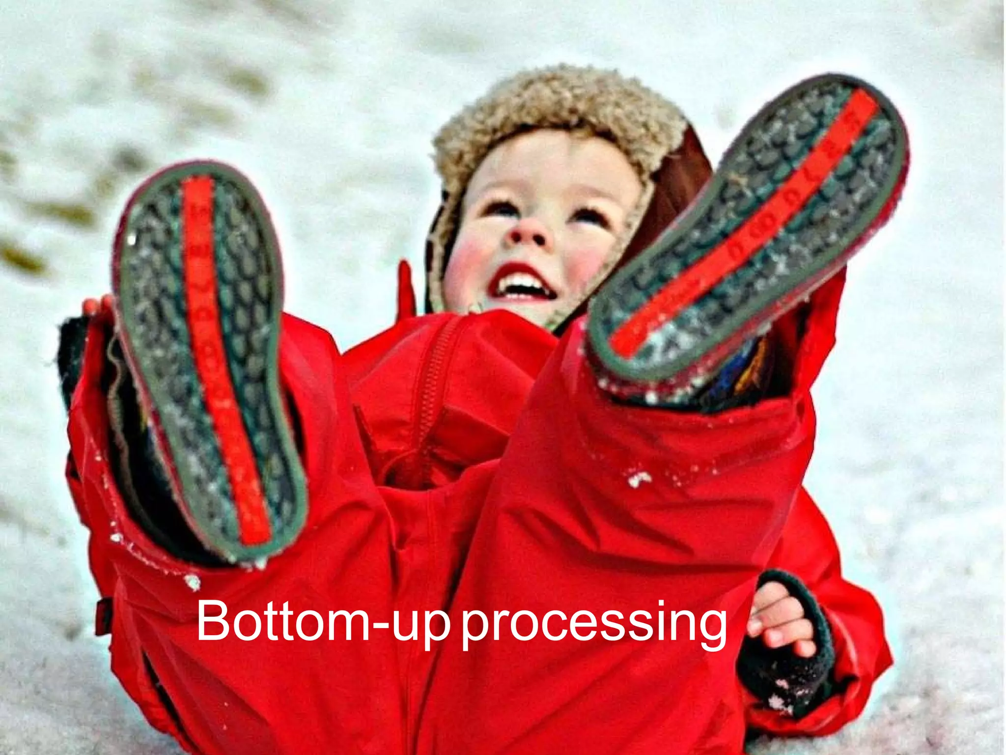 Bottom-up   processing 