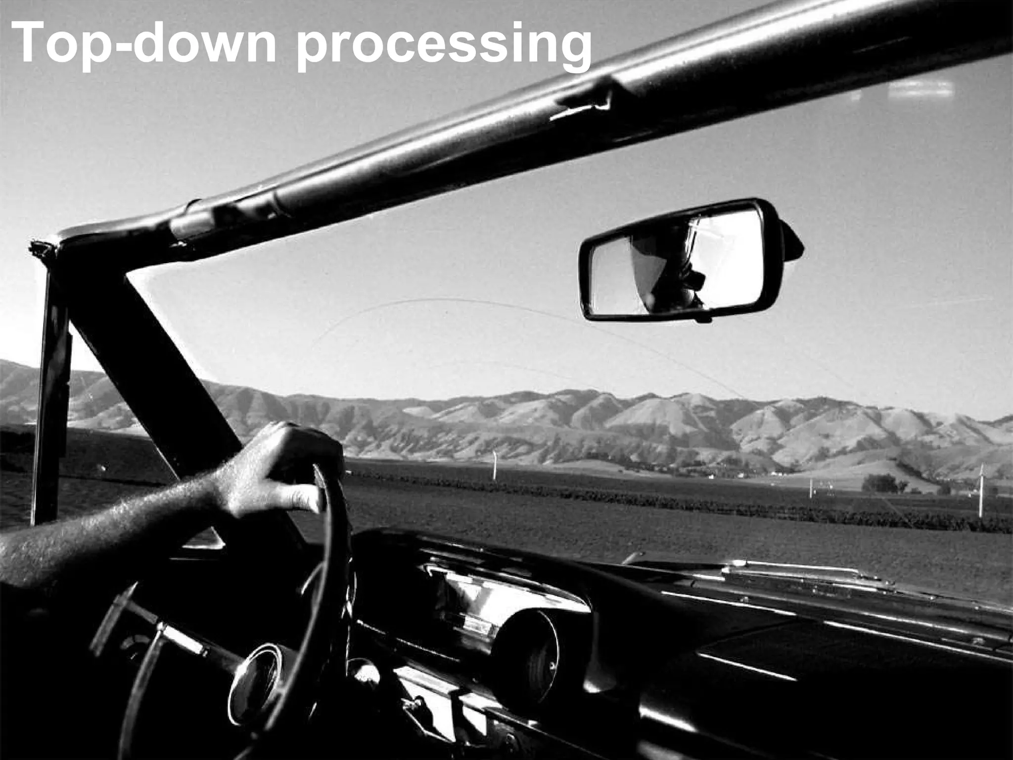Top-down processing 
