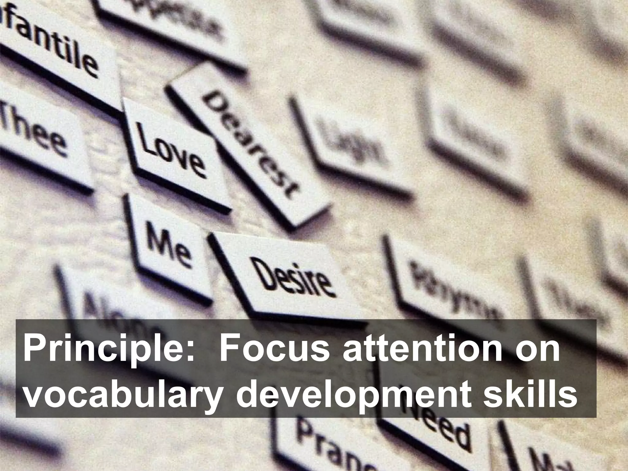 Principle:  Focus attention on vocabulary development skills 
