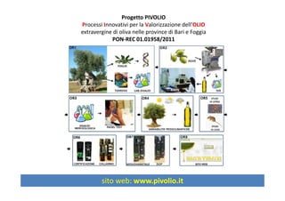 Progetto PIVOLIO
Processi Innovativi per la Valorizzazione dell’OLIO
extravergine di oliva nelle province di Bari e Foggia
PON‐REC 01.01958/2011
sito web: www.pivolio.itsito web: www.pivolio.it
 