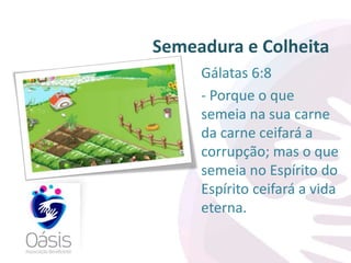 Semeadura e Colheita 
Gálatas 6:8 
- Porque o que 
semeia na sua carne 
da carne ceifará a 
corrupção; mas o que 
semeia no Espírito do 
Espírito ceifará a vida 
eterna. 
 