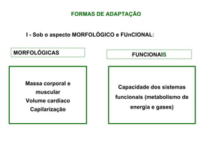 FORMAS DE ADAPTAÇÃO  I - Sob o aspecto MORFOLÓGICO e FUnCIONAL : Massa corporal e muscular Volume cardíaco Capilarização Capacidade dos sistemas funcionais (metabolismo de energia e gases) MORFOLÓGICAS  FUNCIONAI S 
