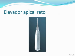 Elevador apical reto




                       Terra, G.
 