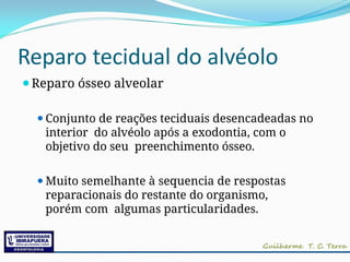Reparo tecidual do alvéolo
⚫Reparo ósseo alveolar
⚫Conjunto de reações teciduais desencadeadas no
interior do alvéolo após a exodontia, com o
objetivo do seu preenchimento ósseo.
⚫Muito semelhante à sequencia de respostas
reparacionais do restante do organismo,
porém com algumas particularidades.
 