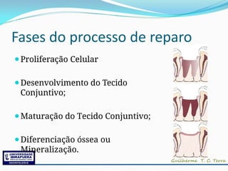 Fases do processo de reparo
⚫Proliferação Celular
⚫Desenvolvimento do Tecido
Conjuntivo;
⚫Maturação do Tecido Conjuntivo;
⚫Diferenciação óssea ou
Mineralização.
 