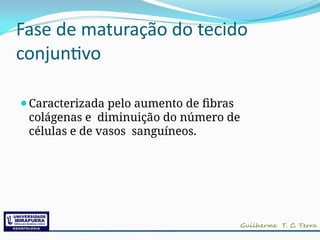 Fase de maturação do tecido
conjuntivo
⚫Caracterizada pelo aumento de fibras
colágenas e diminuição do número de
células e de vasos sanguíneos.
 