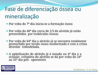 Fase de diferenciação óssea ou
mineralização
⚫ Por volta do 7º dia inicia-se a formação óssea
⚫ Por volta do 40º dia cerca de 2/3 do alvéolo já estão
preenchidos por trabéculas ósseas
⚫ Por volta do 64º dia o alvéolo já se encontra totalmente
preenchido por tecido ósseo neoformado e com a crista
alveolar remodelada.
⚫ A epitelização do alvéolo já é notada no 4º dia e a
oclusão completa do alvéolo se dá por volta do 24º
ao 35º dia pós- operatório
 