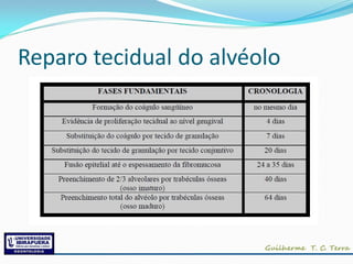 Reparo tecidual do alvéolo
 