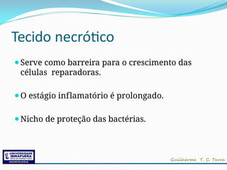 Tecido necrótico
⚫Serve como barreira para o crescimento das
células reparadoras.
⚫O estágio inflamatório é prolongado.
⚫Nicho de proteção das bactérias.
 